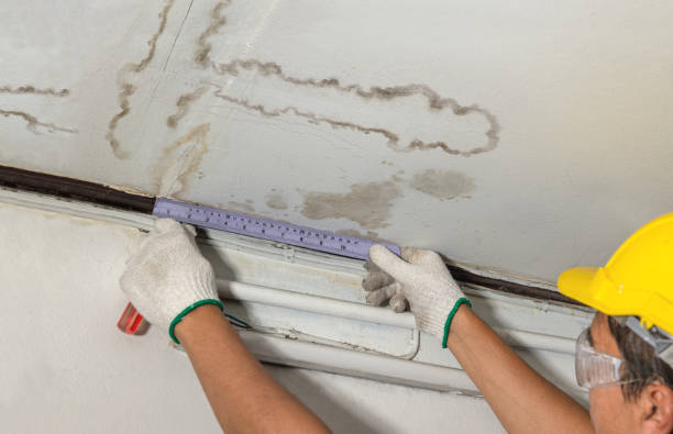 Reliable Water Damage contractor in Algonac, MI by Water Damage Irwin